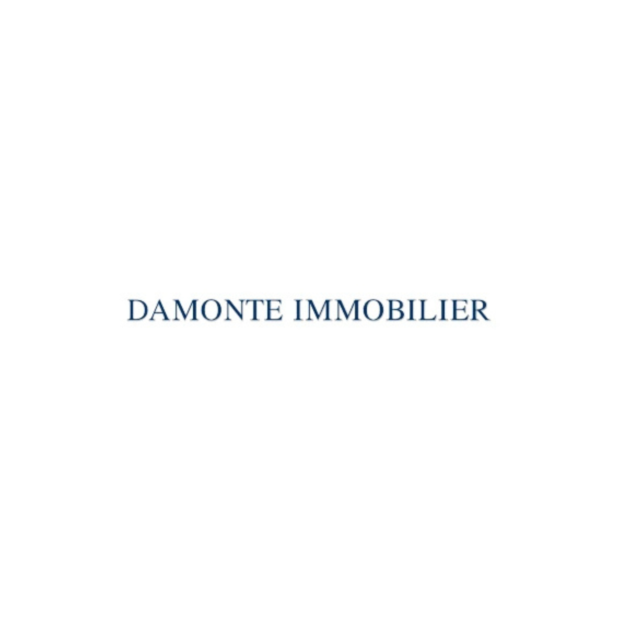 Le logo de notre partenaire Damonte Immobilier à Le Cannet